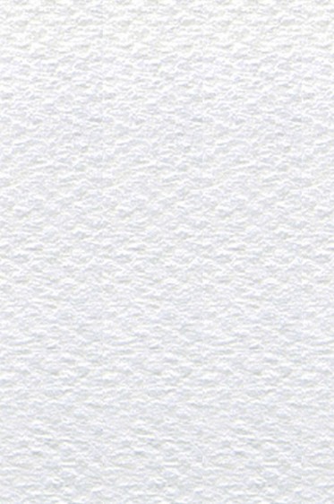 Canson Pastel Paper Mi-Teintes: White 160gsm 20 Sheet PAD