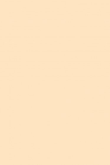 Sakura Acrylic Color:  Naples Yellow Red Light  20ml