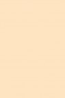 Sakura Acrylic Color:  Naples Yellow Red Light  20ml
