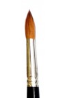 Hans Brush: 995 Camel Hair Round 12