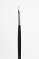 Sakura Brush: 501 Flat 0