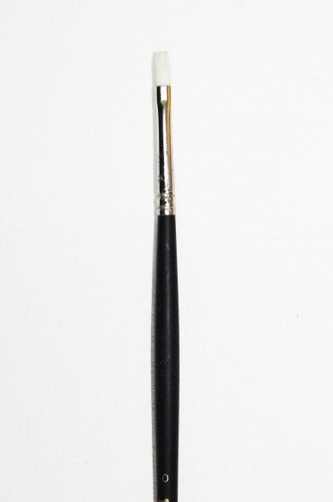 Sakura Brush: 501 Flat 0