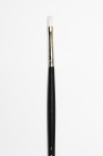 Sakura Brush: 501 Flat 0