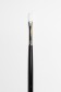 Sakura Brush: 501 Flat 1