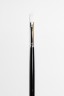 Sakura Brush: 501 Flat 1