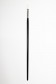 Sakura Brush: 501 Flat 3