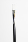 Sakura Brush: 501 Flat 4