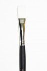 Sakura Brush: 501 Flat 8