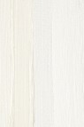 Schmincke Mussini Oil Colors: Transparent White 35ml
