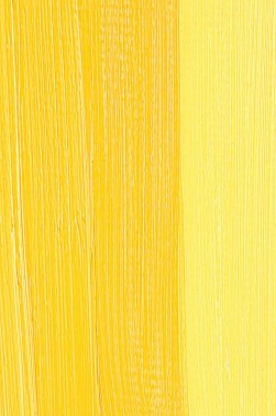 Schmincke Mussini Oil Colors: Cadmium Yellow Hue 35ml