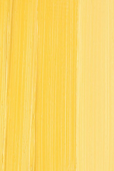Schmincke Mussini Oil Colors: Vanadium Yellow Deep 35ml