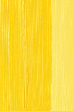 Schmincke Mussini Oil Colors: Cadmium Yellow 2 Medium 35ml