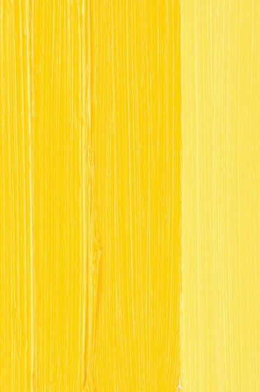 Schmincke Mussini Oil Colors: Cadmium Yellow 2 Medium 35ml