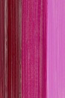 Schmincke Mussini Oil Colors: Transparent Magenta 35ml