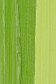Schmincke Mussini Oil Colors: Chrome Green Hue Light 35ml