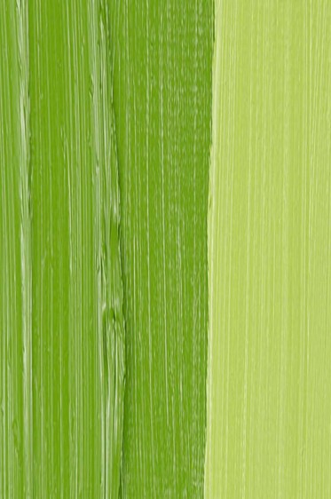 Schmincke Mussini Oil Colors: Chrome Green Hue Light 35ml