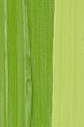 Schmincke Mussini Oil Colors: Chrome Green Hue Light 35ml