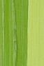 Schmincke Mussini Oil Colors: Chrome Green Hue Light 35ml