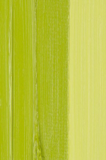 Schmincke Mussini Oil Colors: Yellowish Green 35ml