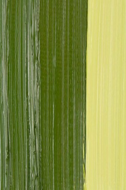 Schmincke Mussini Oil Colors: Transparent Golden Green 35ml