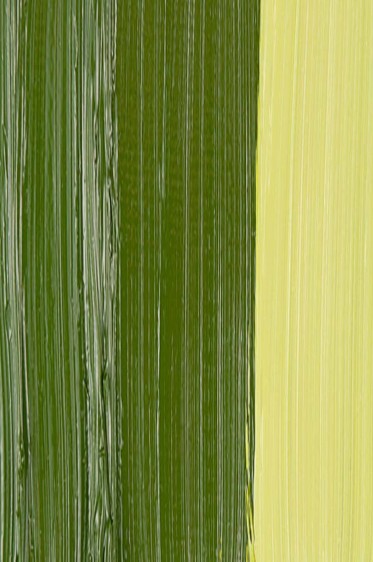 Schmincke Mussini Oil Colors: Transparent Golden Green 35ml