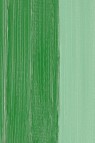 Schmincke Mussini Oil Colors: Oriental Green 35ml