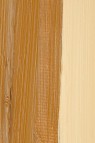 Schmincke Mussini Oil Colors: Yellow Sienna 35ml