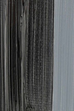 Schmincke Mussini Oil Colors: Ivory Black 35ml