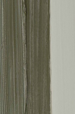 Schmincke Mussini Oil Colors: Shade Grey 35ml