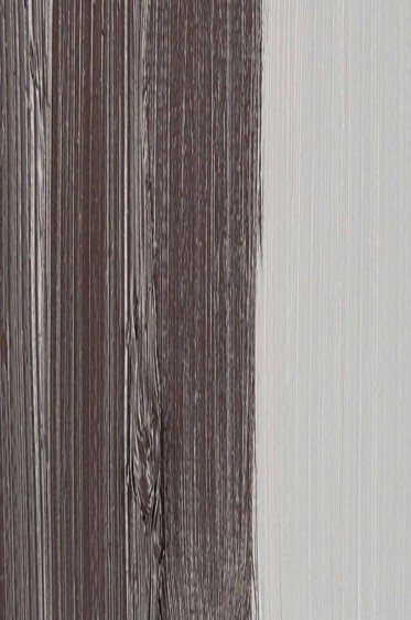 Schmincke Mussini Oil Colors: Dove Grey 35ml