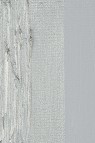 Schmincke Mussini Oil Colors: White Gold 35ml