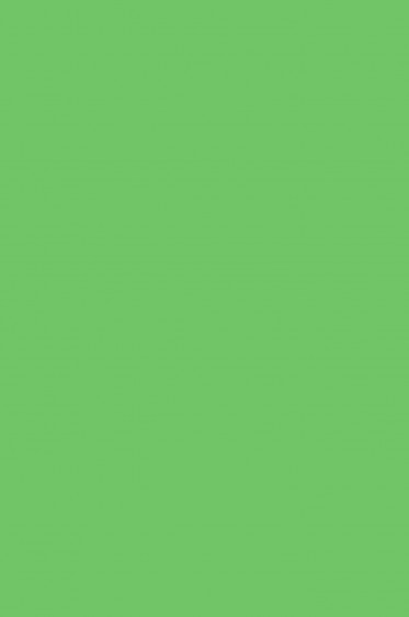 Sakura Acrylic Color: Brilliant Green 20ml