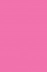 Sakura Acrylic Color: Deep Rose Magenta 20ml