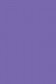 Sakura Acrylic Color: Mauve 20ml