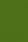 Sakura Acrylic Color: Olive Green 20ml