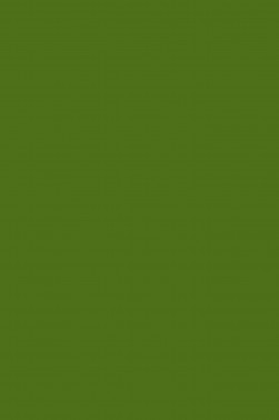 Sakura Acrylic Color: Olive Green 20ml