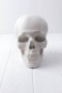 Wooden Mannequin & Models: Human Anatomy Skull Model