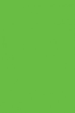 Derivan Face & Body Paint: Fluro Green  250ml
