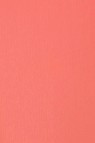 Liquitex Basics Acrylic Studio: Rose Pink 118ml