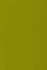 Liquitex Basics Acrylic Studio: Light Olive Green 118ml