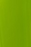 Liquitex Basics Acrylic Studio: Lime Green 118ml