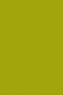 Sakura Acrylic Color: Olive Green Light 20ml