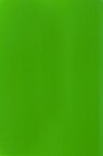 Liquitex Basics Acrylic Studio: Fluorescent Green 118ml