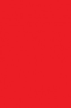 Derivan Face & Body Paint: Fluro Red  250ml