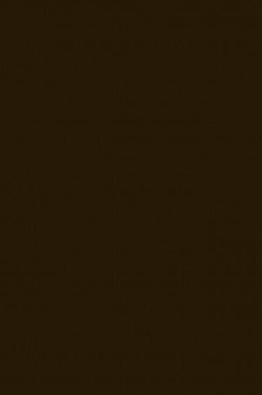 Sakura Acrylic Color: Oxide Black 20ml
