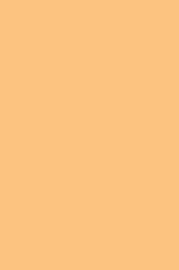 Sakura Acrylic Color: Pale Orange 20ml