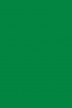 Sakura Acrylic Color: Permanent Green Light 20ml