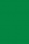 Sakura Acrylic Color: Permanent Green Light 20ml