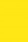 Sakura Acrylic Color: Premanent Yellow 20ml