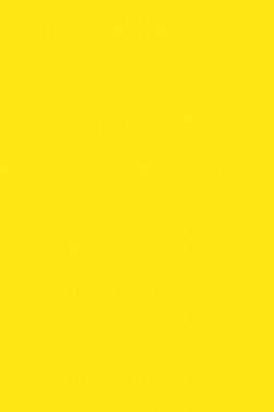 Sakura Acrylic Color: Permanent Yellow 20ml